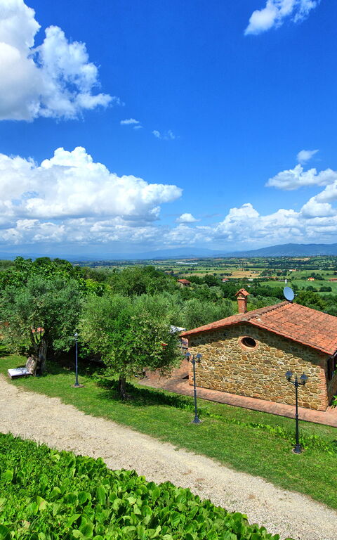 Villa Ulivi: Ansichten, Außen, Draussen, Garten, Sommer