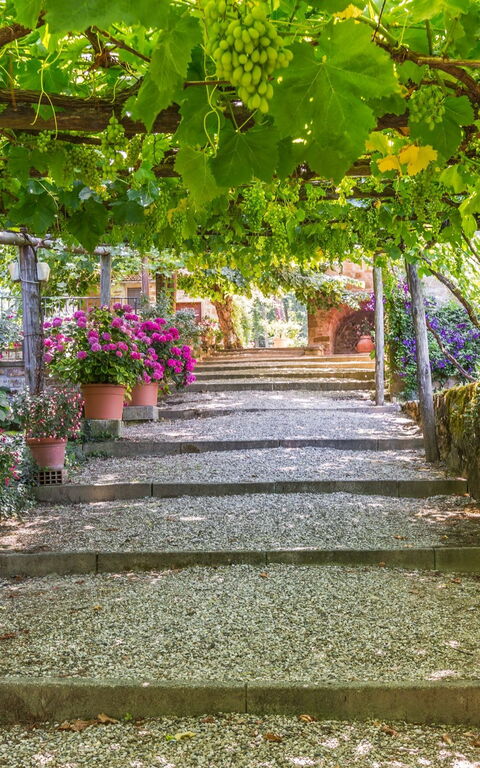 Palazzo Rosadi: Garten