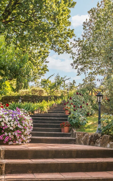 Torre Del Cielo: Garten