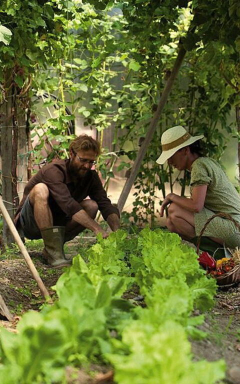 Ca' Marcello: Draussen