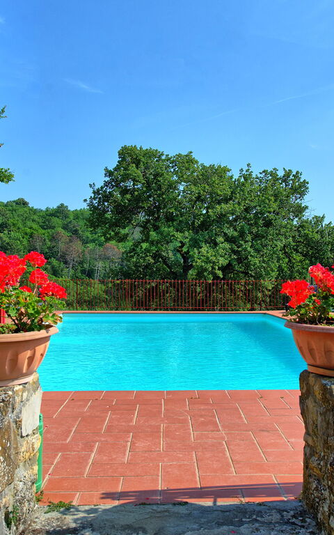 Querciolaia: Schwimmbad