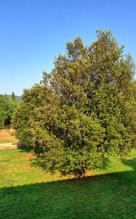 Casavecchia: Ansichten