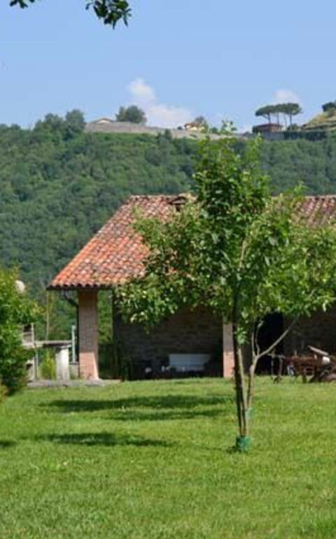 Villa Il Nido: Garten