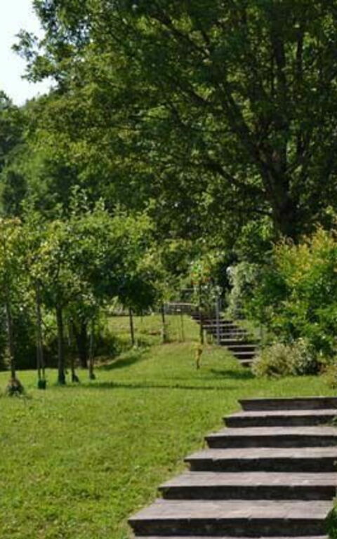 Villa Il Nido: Garten
