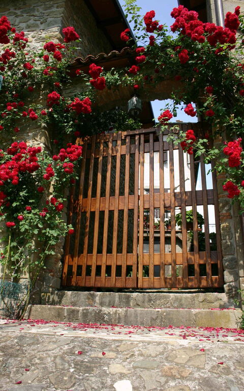 Il Palazzetto: Draussen