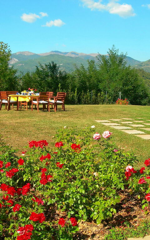 Villa Saida: Draussen, Garten