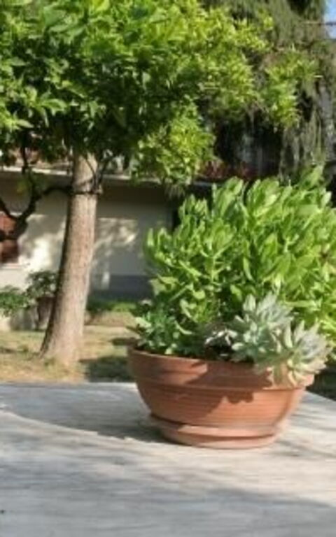 ***villa Contea: Draussen, Garten