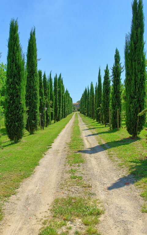 Villa Giare: Ansichten