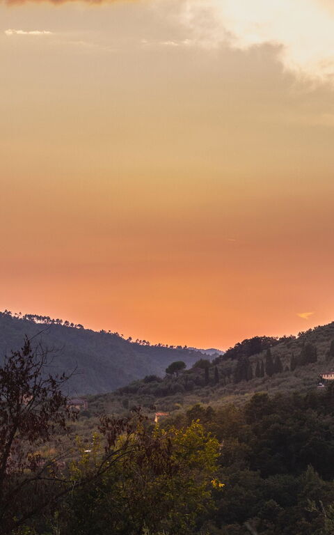 Villa Pedone: Draussen