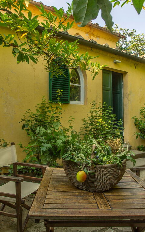 Villa Pedone: Draussen, Garten