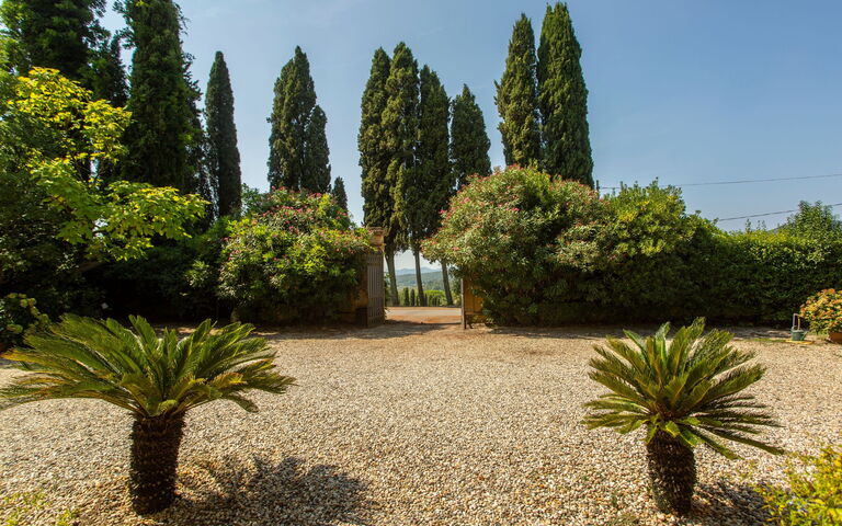 Villa Pedone: Draussen, Garten