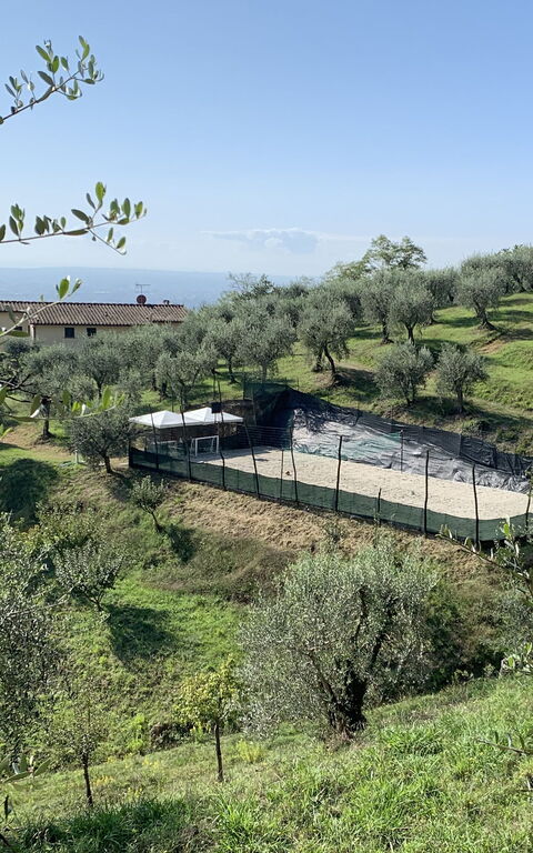 Villa Le Ferrette: Draussen