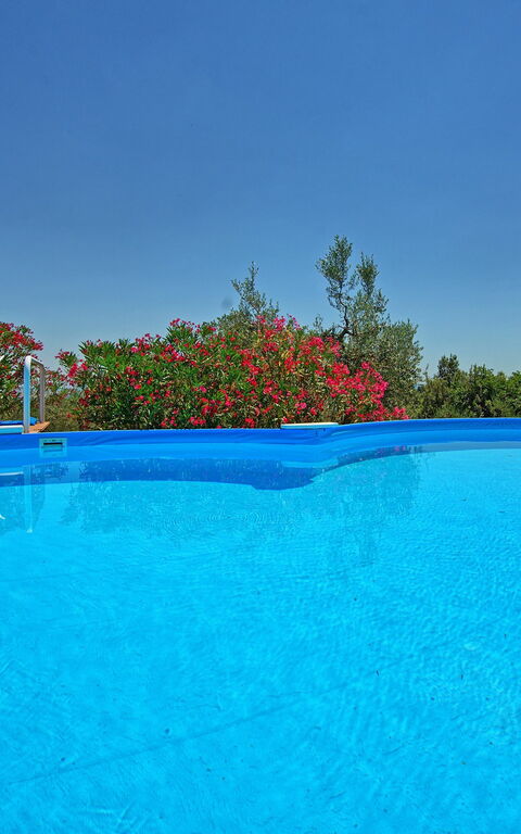 Villa Corolle: Schwimmbad