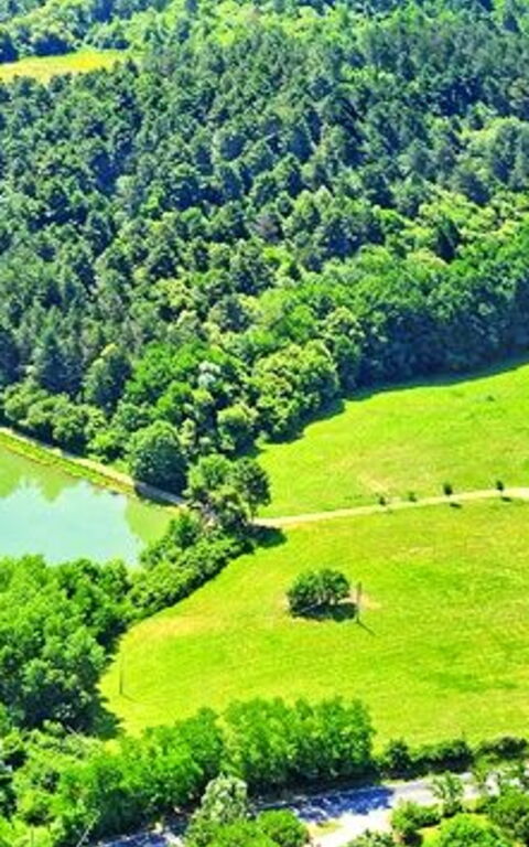 Villa Sant' Angelo: Ansichten, Garten