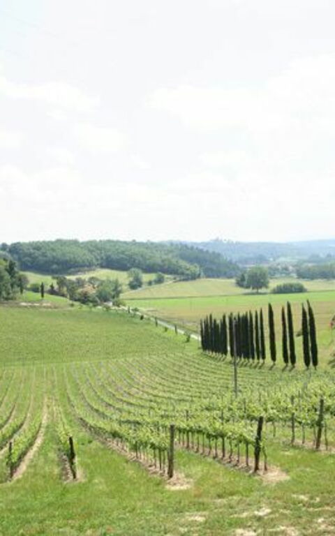 Villa Buonaparte: Ansichten