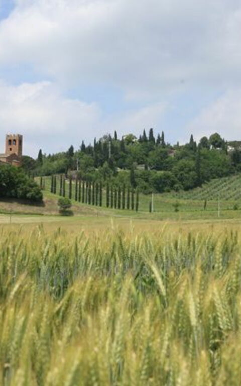 Villa Buonaparte: Ansichten