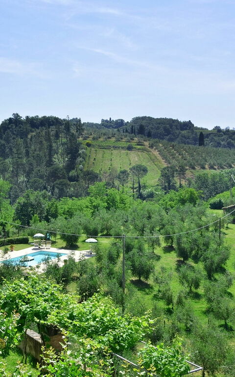 Villa Buonaparte: Garten