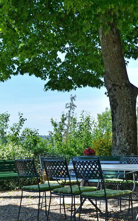 Villa Buonaparte: Garten