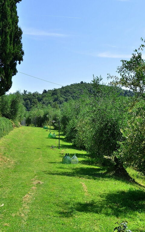 Villa Buonaparte: Garten