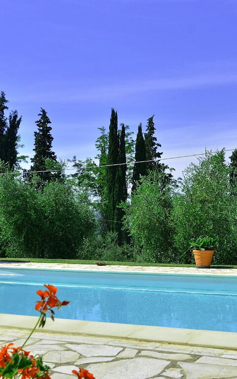 Villa Buonaparte: Garten, Schwimmbad