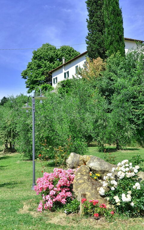 Villa Buonaparte: Garten