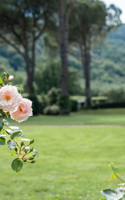 Villa De Ranieri: Draussen, Garten