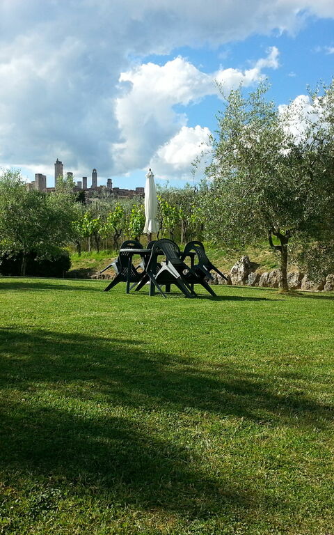 Podere Degli Olivi: Garten