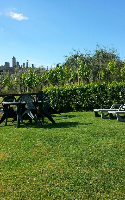 Podere Degli Olivi: Draussen, Garten