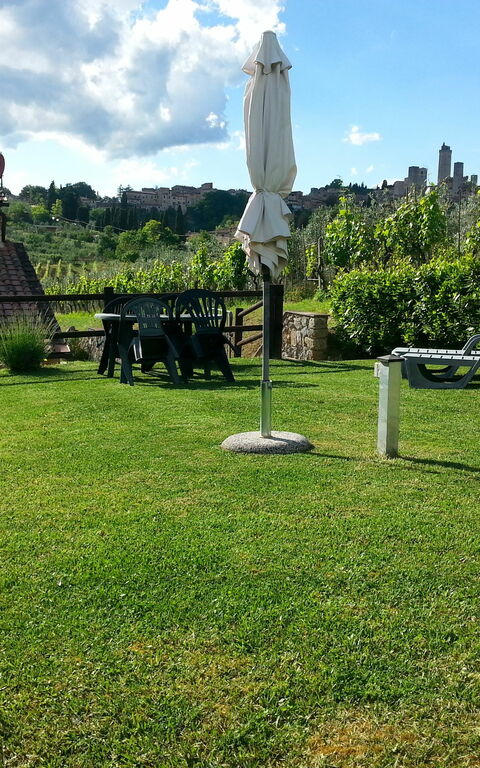 Podere Degli Olivi: Garten