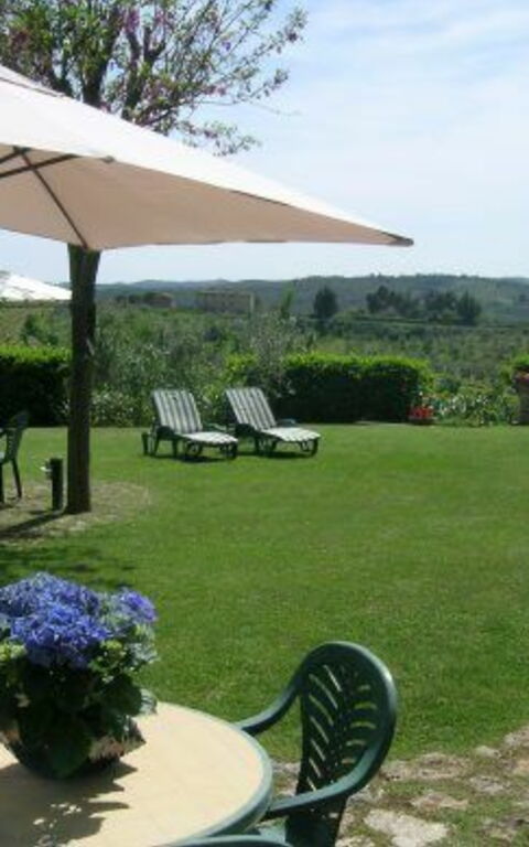 Podere Degli Olivi: Garten