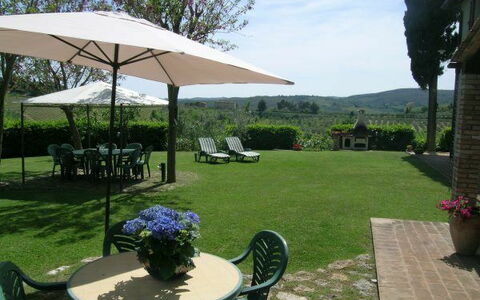 Unterkunft Olivo: Draussen