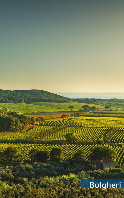 Guardistallo: Ansichten, Außen