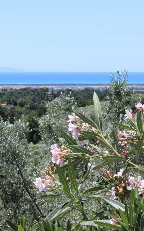 Guardistallo: Ansichten