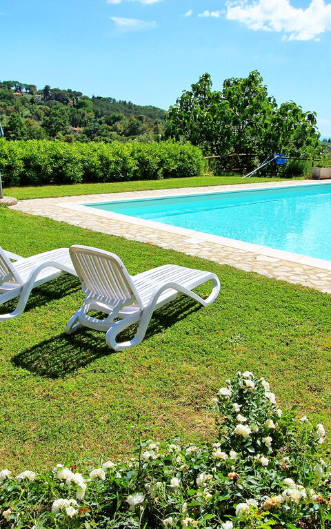 Guardistallo: Garten, Schwimmbad