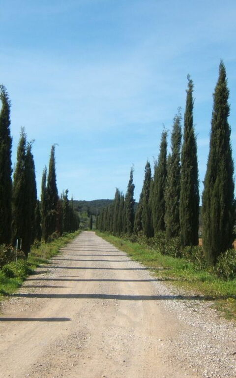 Villa Dei Cipressi: Außen, Draussen, Haupteingang