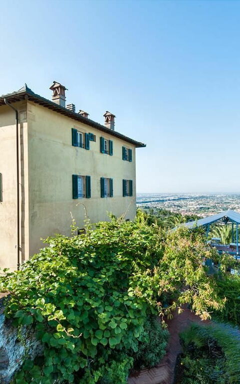 Villa Camaiore: Außen, Garten