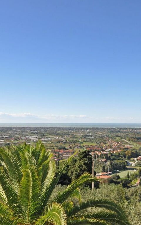 Villa Camaiore: Ansichten, Garten