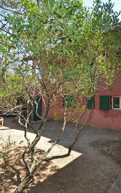 Casamare: Draussen, Garten