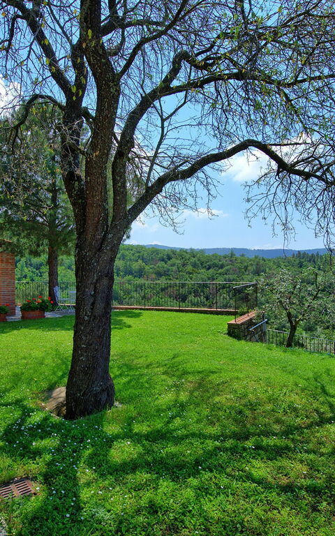 Villa Noceta: Draussen, Garten