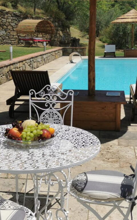 Villa Noceta: Schwimmbad