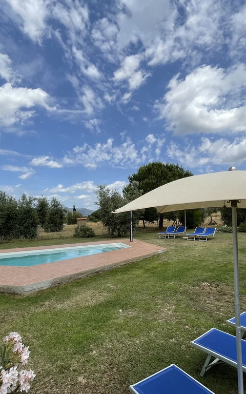 Funghi 1: Außen, Draussen, Garten, Schwimmbad