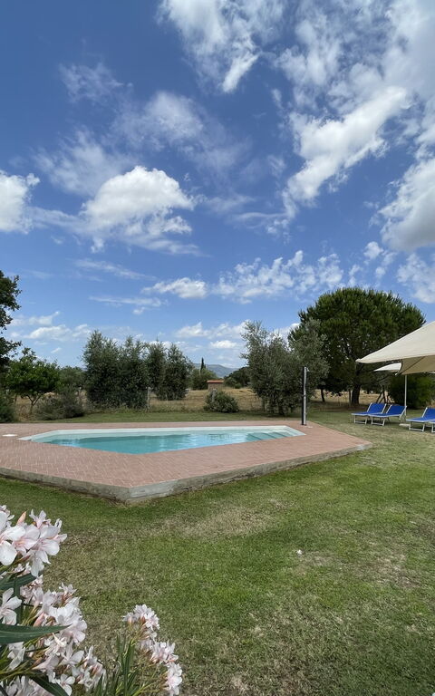 Funghi 1: Außen, Draussen, Garten, Schwimmbad