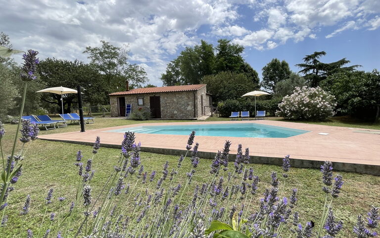 Funghi 1: Außen, Draussen, Garten, Schwimmbad