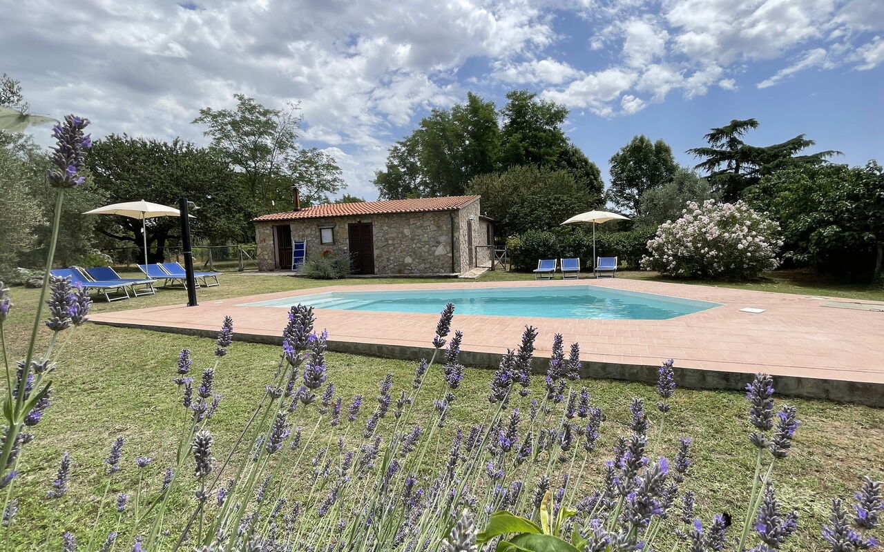 Funghi 1: Außen, Draussen, Garten, Schwimmbad