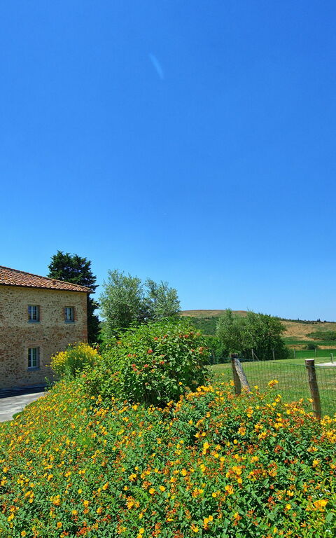 Casale La Valle - Castelfalfi: Garten