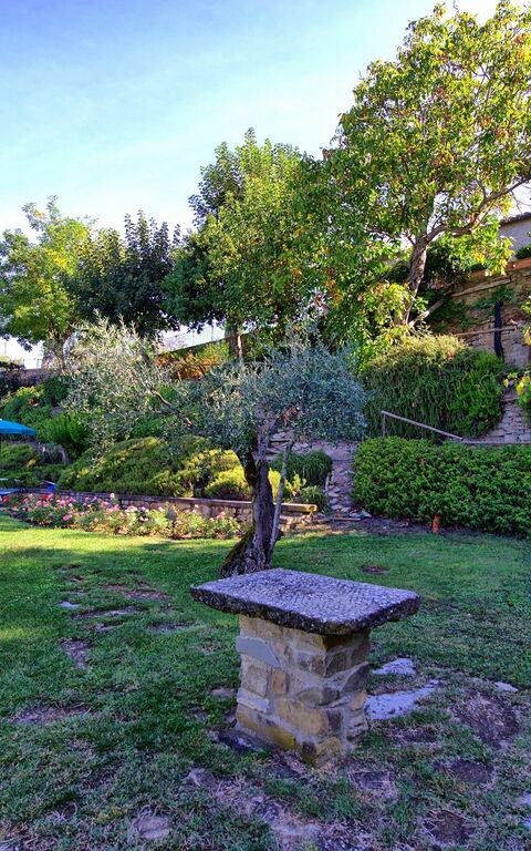 Casale Girifalco: Garten