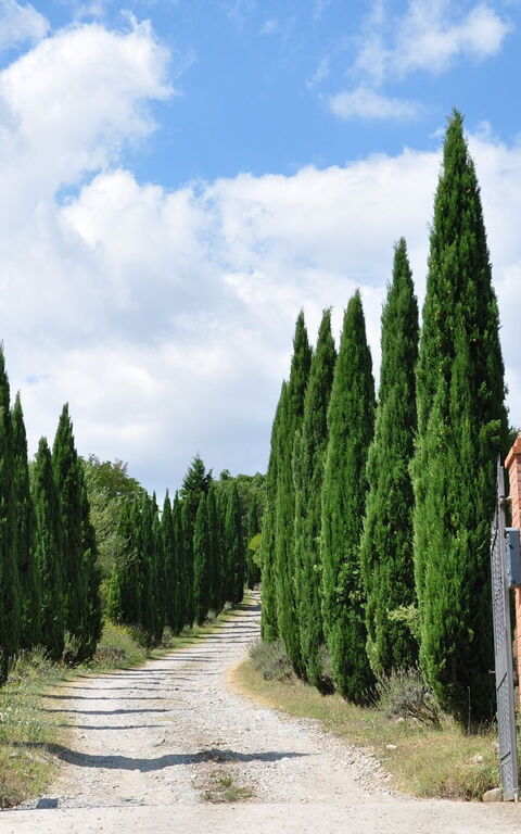 Le Querce Di Campocane: Außen