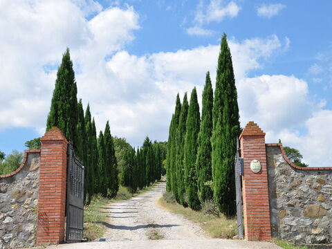 Le Querce Di Campocane