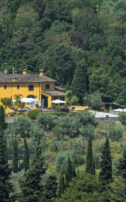 Villa Casalguidi: Garten