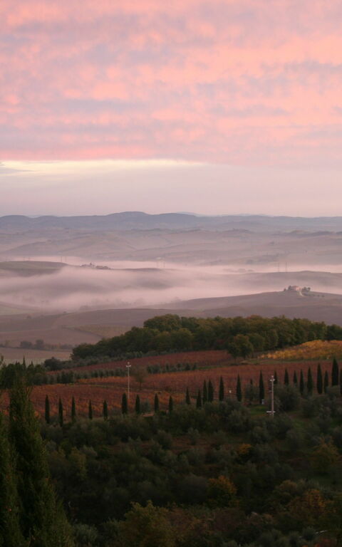 Villa Montalcino: Ansichten